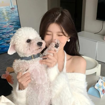 雨果的冒险
