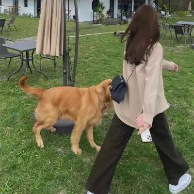 杀死伊芙 第二季