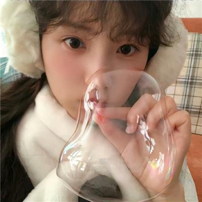 红狐